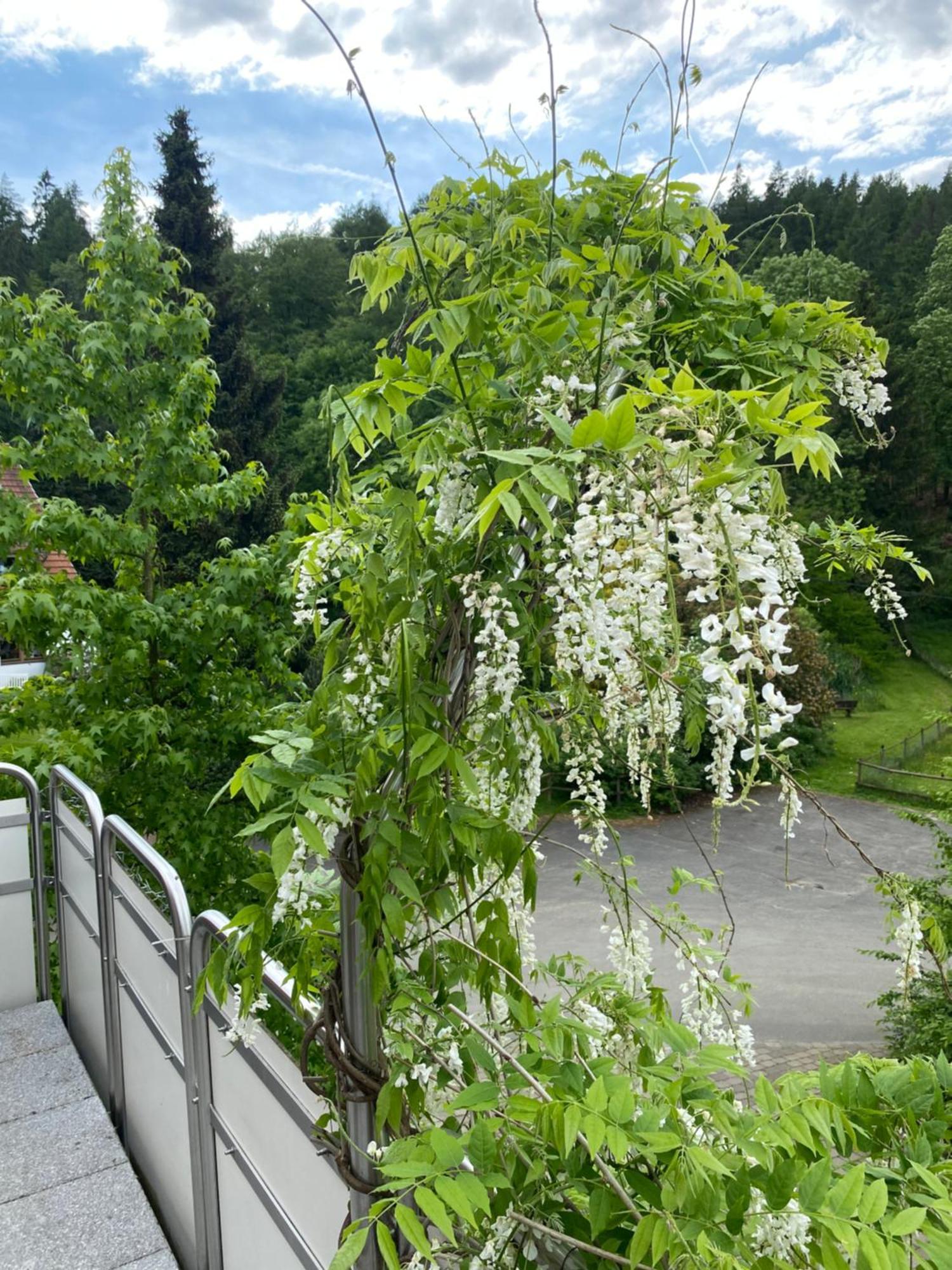 Ferienhof Kroeger Bed & Breakfast Bielefeld Exterior photo